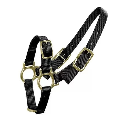 Sheep / Lamb & Goat Adjustable Halter